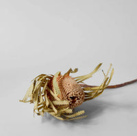 Dried Banksia Set of 3 | California 89