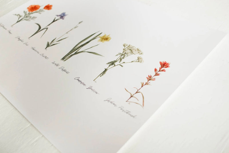 Framed 8x10 Collection of Wildflowers Print | California 89